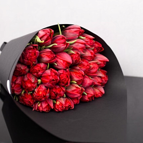 Тюльпаны красные пионовидные купить за 995 грн.
